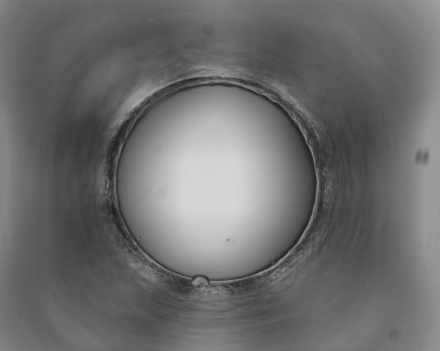 X0000090971215200708161829