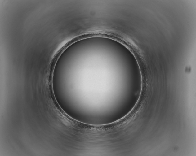 X0000090971216200708161829