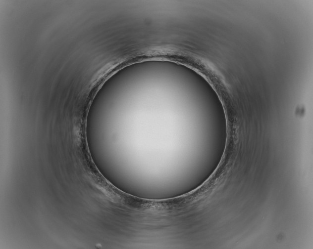 X0000090971217200708161829