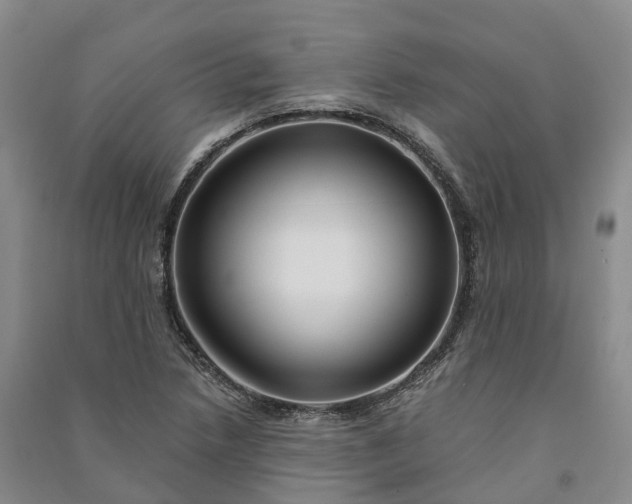 X0000090971218200708161829