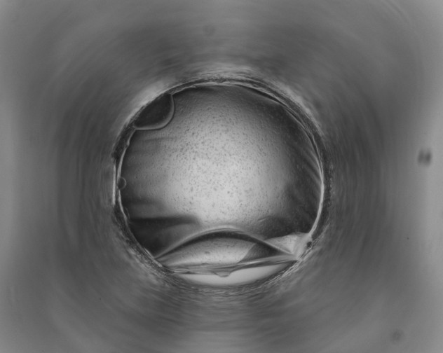 X0000090971219200708161829