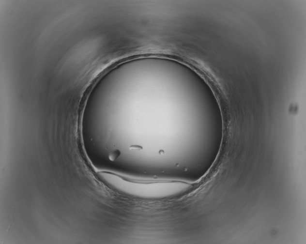 X0000090971220200708161829