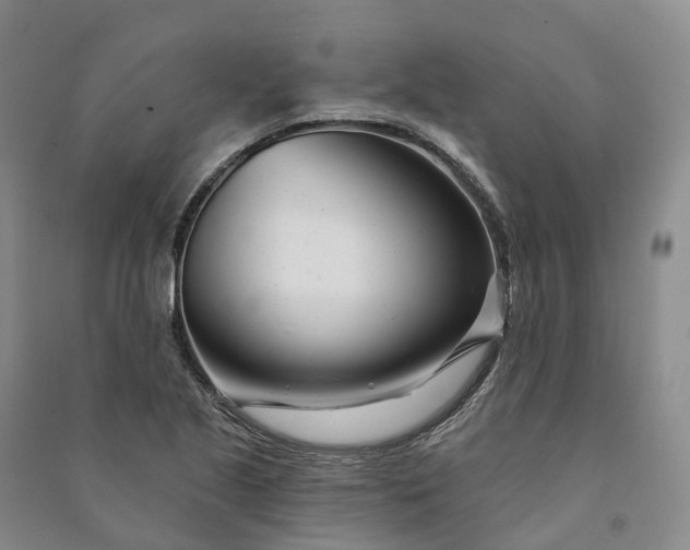 X0000090971221200708161829