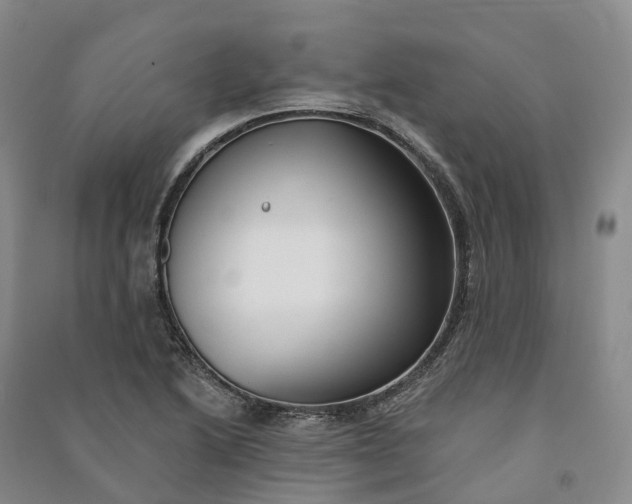 X0000090971222200708161829