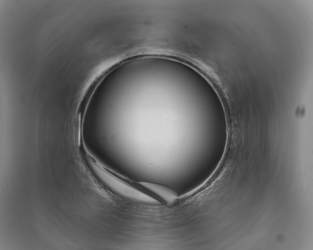 X0000090971223200708161829