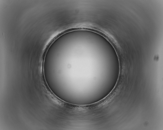 X0000090971224200708161829