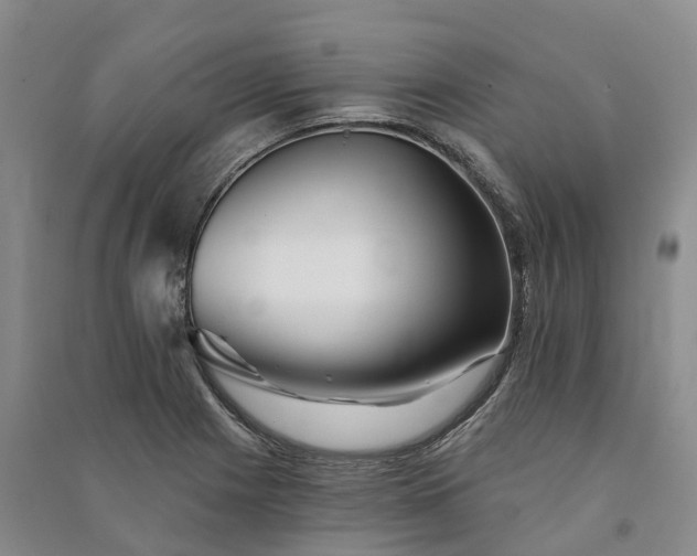 X0000090971225200708161829