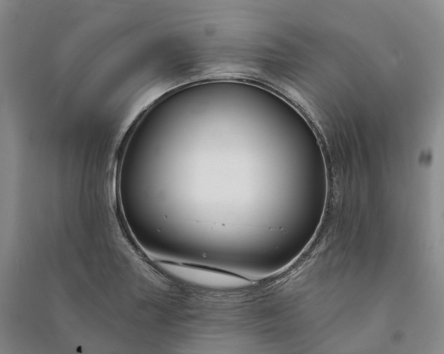 X0000090971227200708161829