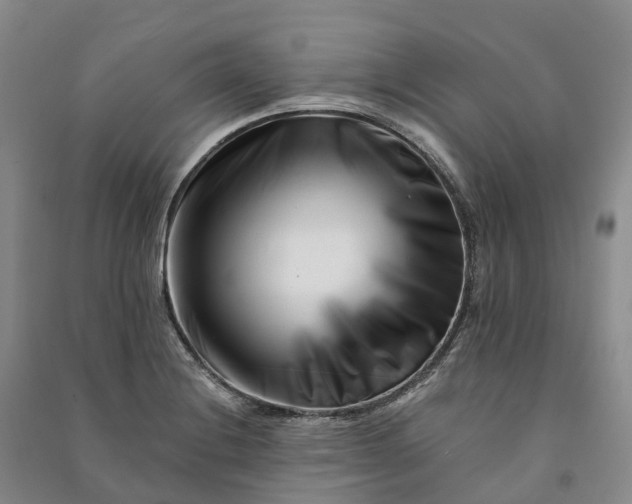 X0000090971228200708161829