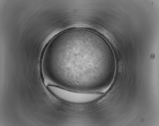 X0000090971229200708161829