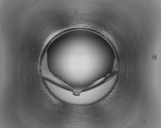 X0000090971230200708161829