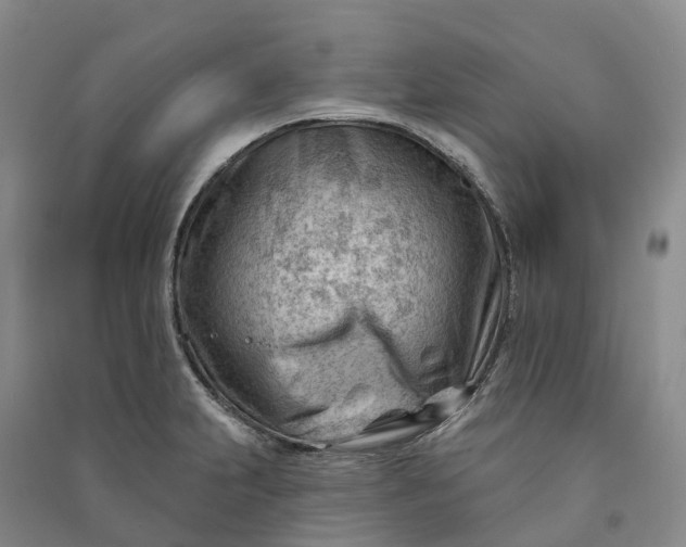 X0000090971231200708161829