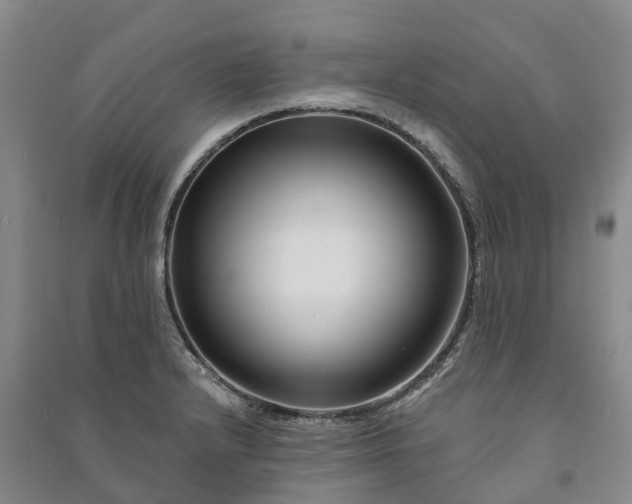 X0000090971232200708161829