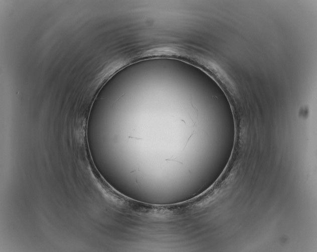 X0000090971233200708161829