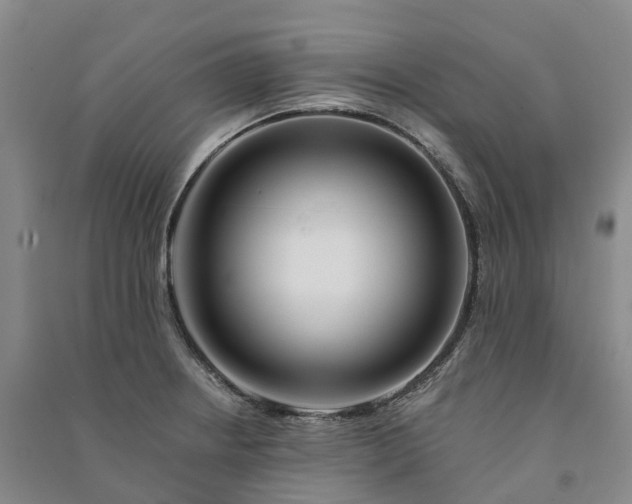 X0000090971234200708161829