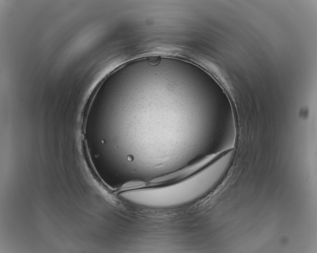 X0000090971235200708161829