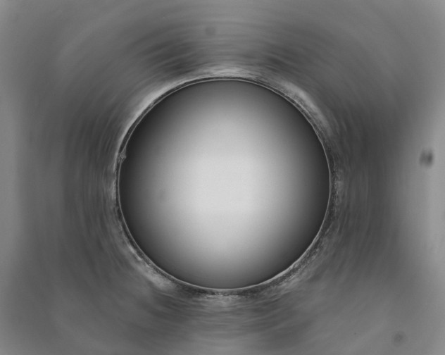 X0000090971236200708161829