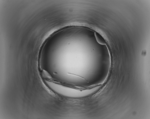 X0000090971237200708161829