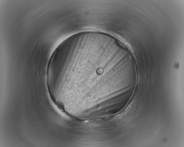 X0000090971239200708161829