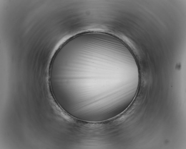 X0000090971240200708161829