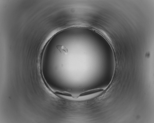 X0000090971243200708161829