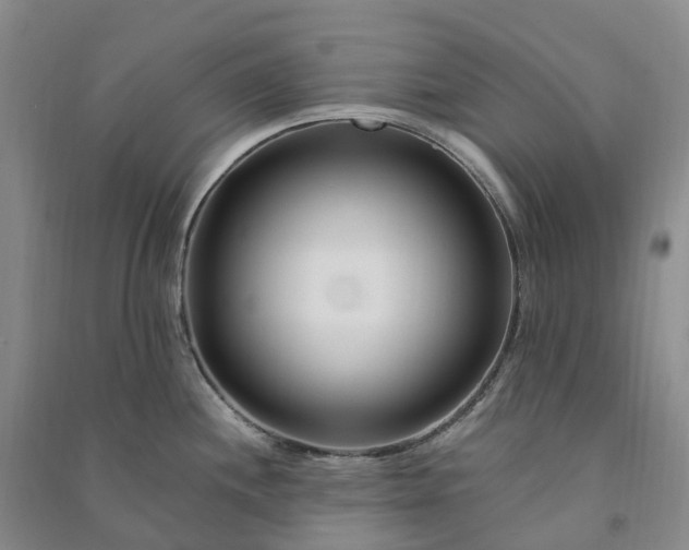 X0000090971244200708161829