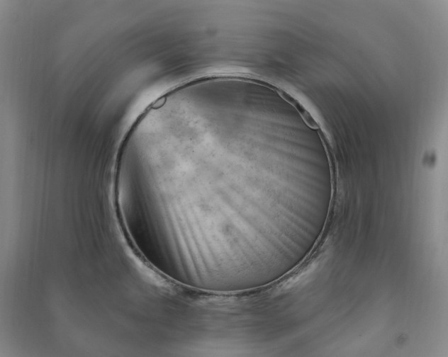 X0000090971245200708161829