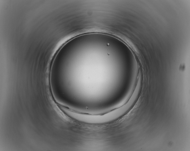 X0000090971246200708161829