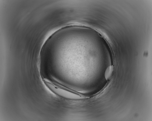 X0000090971247200708161829