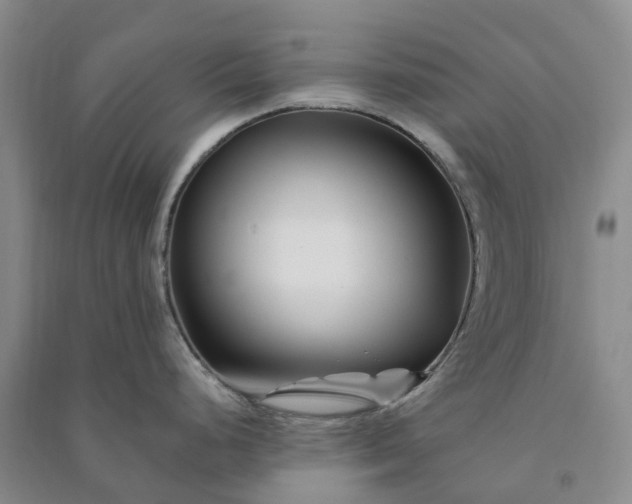 X0000090971248200708161829