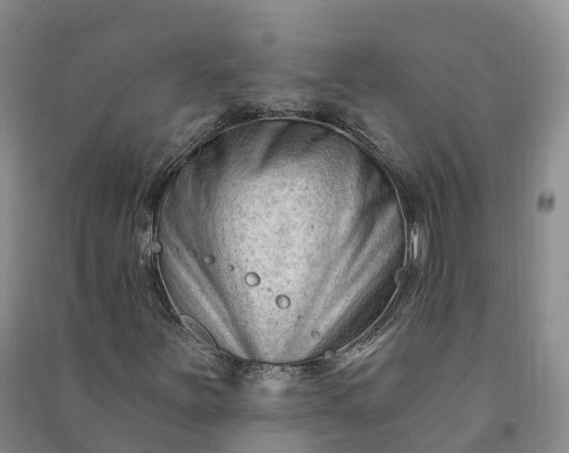 X0000090971251200708161828