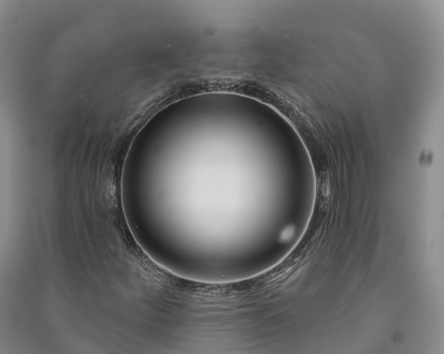 X0000090971252200708161828