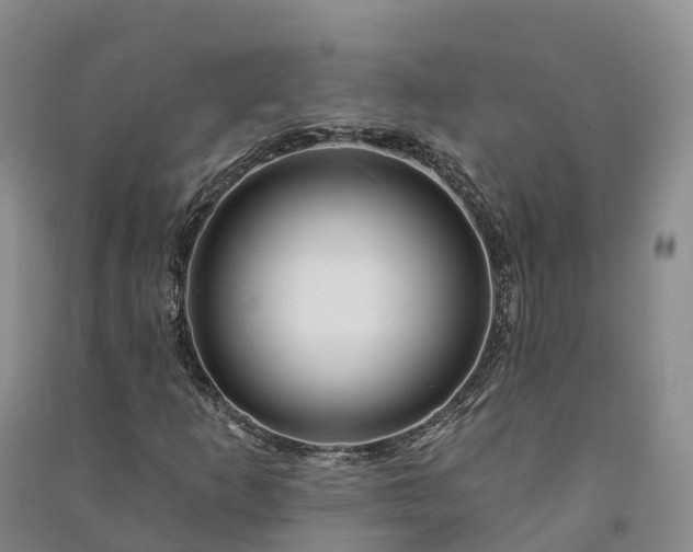 X0000090971253200708161828