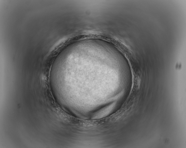 X0000090971254200708161828