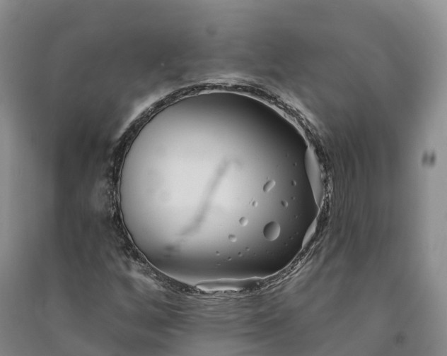 X0000090971256200708161828