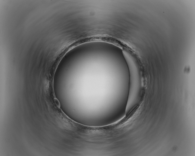 X0000090971257200708161828