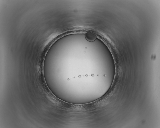 X0000090971259200708161828