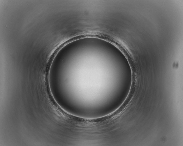 X0000090971260200708161828