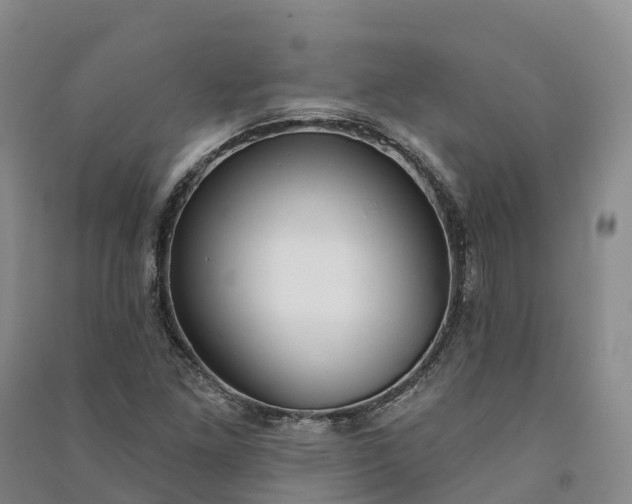 X0000090971261200708161828