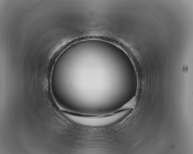 X0000090971262200708161828