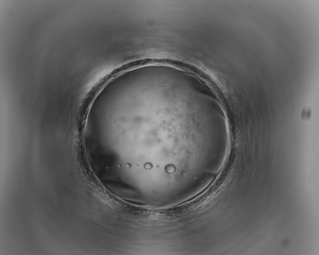 X0000090971263200708161828