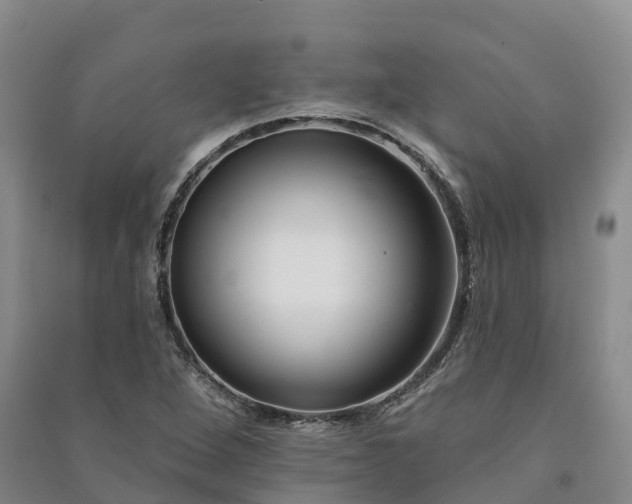 X0000090971264200708161828