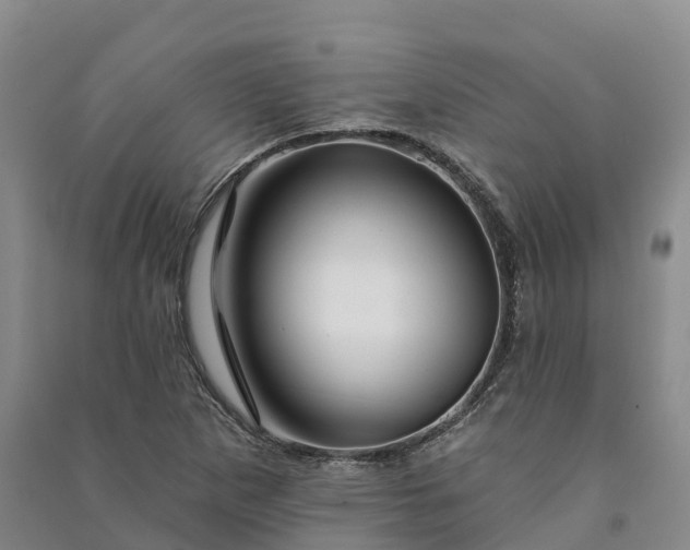 X0000090971265200708161828