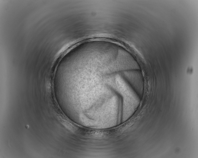 X0000090971266200708161828