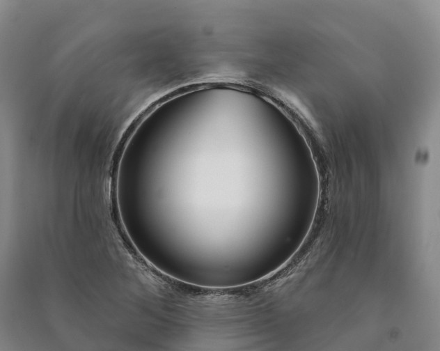 X0000090971268200708161828