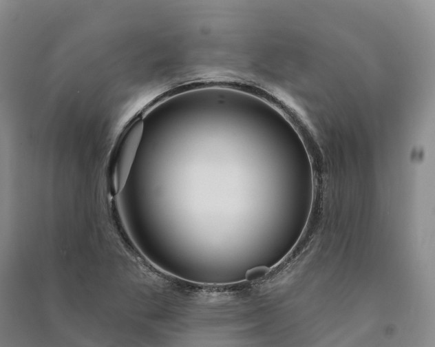 X0000090971269200708161828