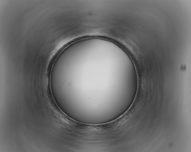 X0000090971270200708161828