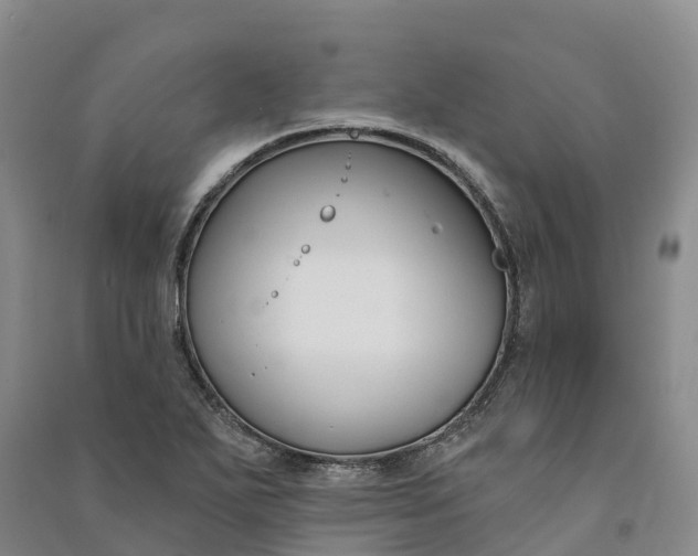 X0000090971271200708161828