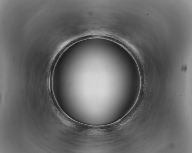 X0000090971272200708161828