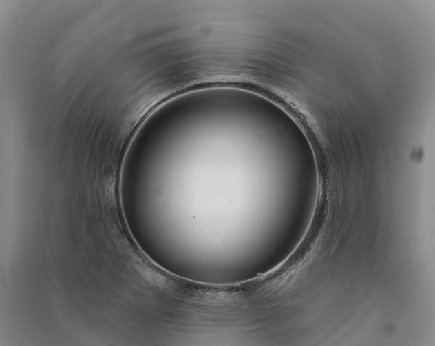 X0000090971273200708161828